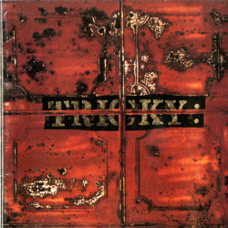 Tricky – Maxinquaye (LP)
