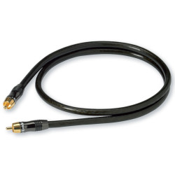 Real Cable AUD.Cable.Evolution. OFC 1RCA M/M For/ Subwoofer 2 m